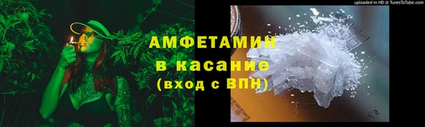 индика Пересвет