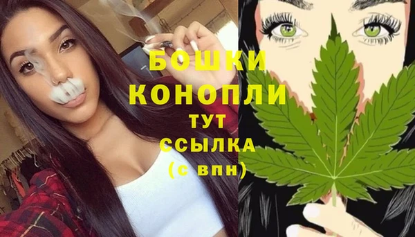 крисы Переславль-Залесский
