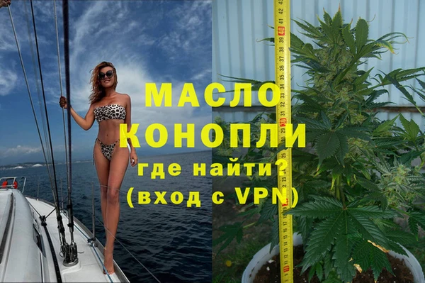 индика Пересвет