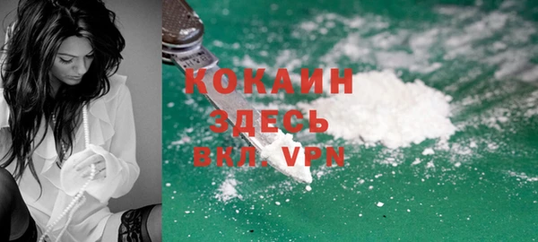 индика Пересвет