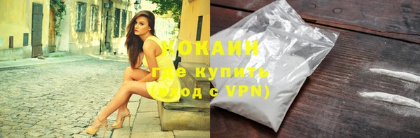 индика Пересвет