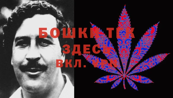 метадон Пестово