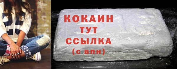 индика Пересвет