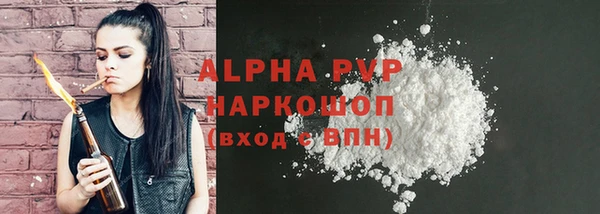 индика Пересвет