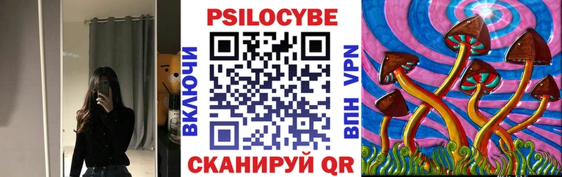 Псилоцибиновые грибы MAGIC MUSHROOMS Заводоуковск