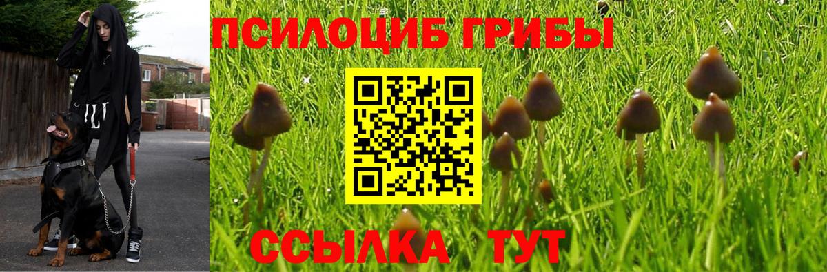 Псилоцибиновые грибы мухоморы  что такое наркотик  Заводоуковск  Галлюциногенные грибы прущие грибы 