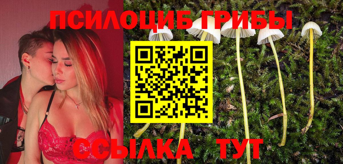 Псилоцибиновые грибы Cubensis Заводоуковск